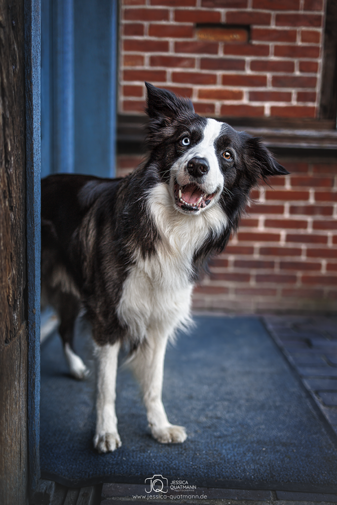 Fotowalk \"Museumsdorf\" - Fotografenplätze frei!