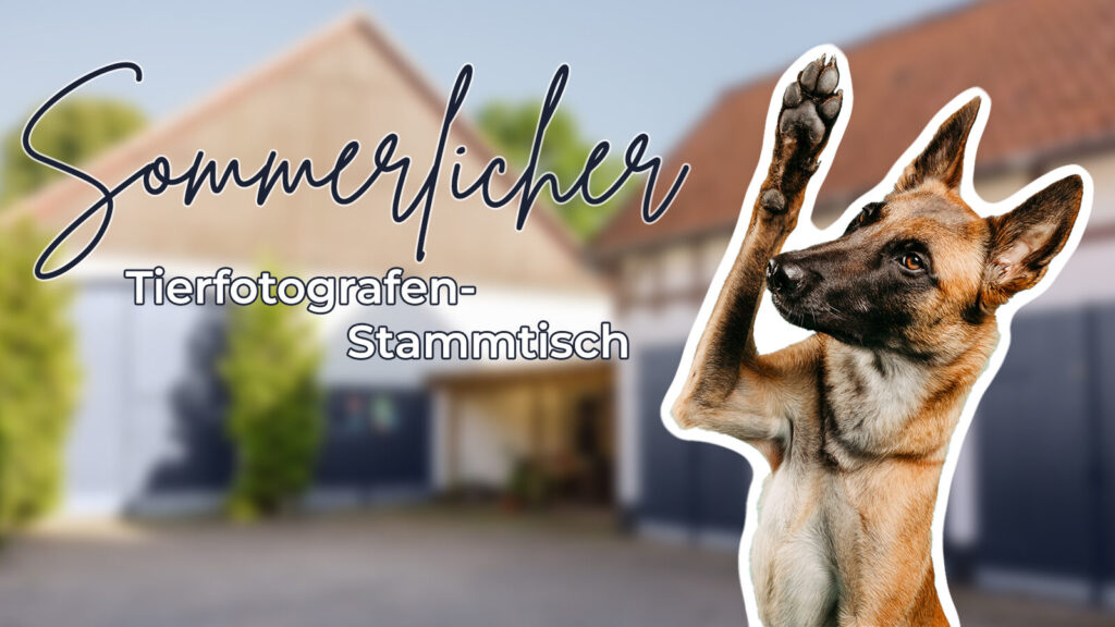 Sommerlicher Fotografen-Stammtisch